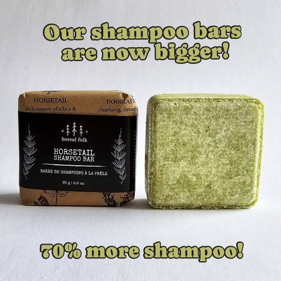 Horsetail Shampoo Bar – Boreal Folk