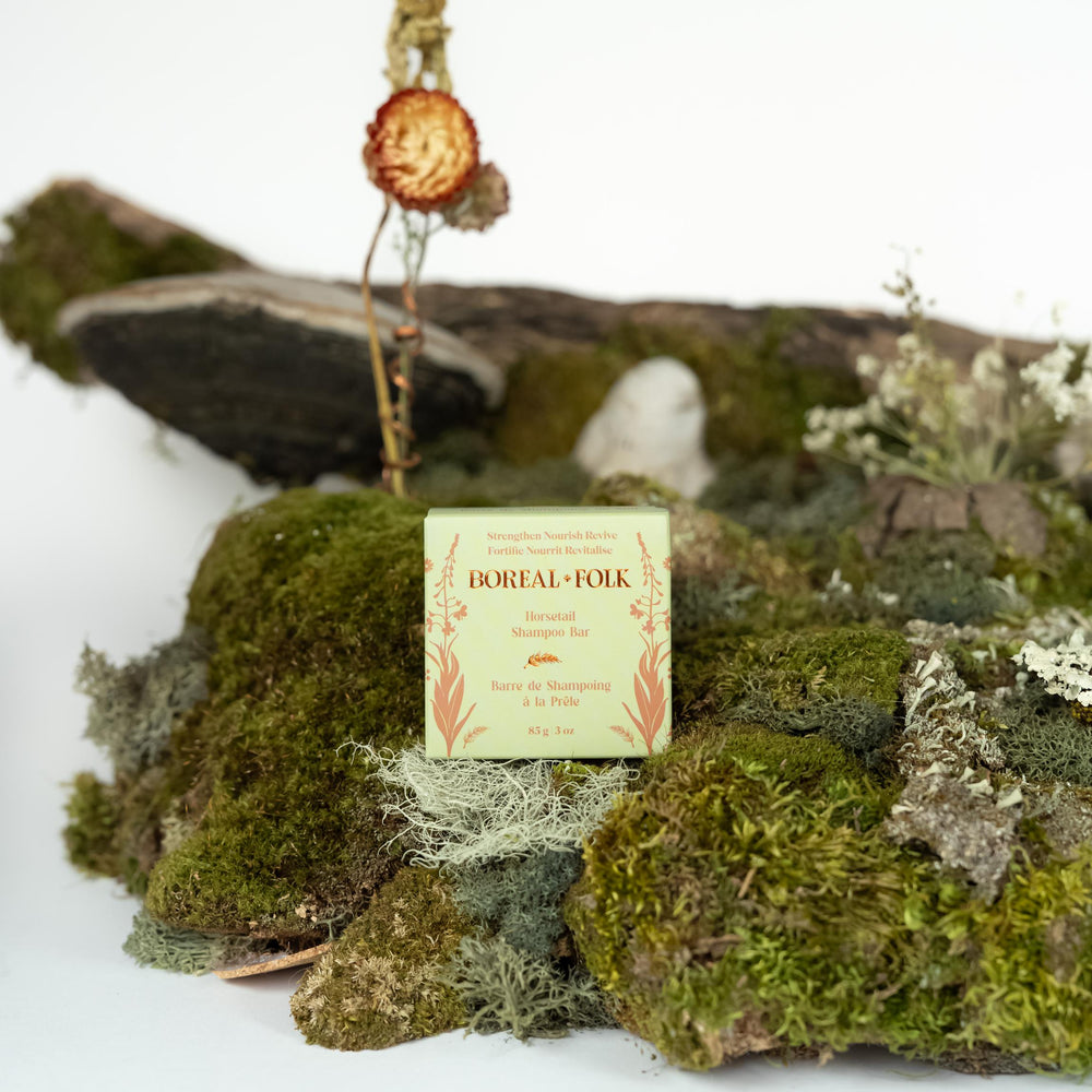 Barre de shampooing à la prêle