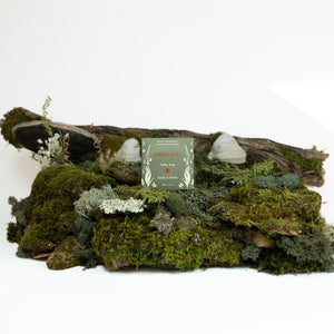 Nettle Soap