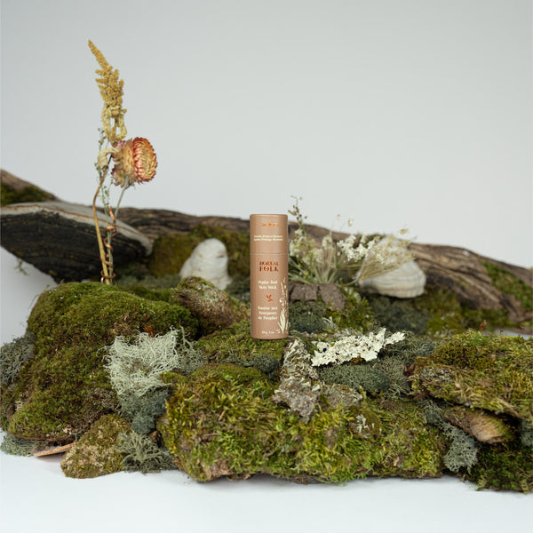 Poplar Bud Skin Stick