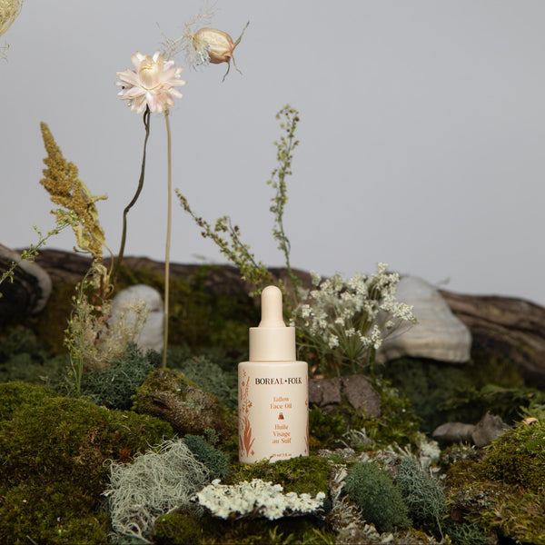 Tallow Face Oil
