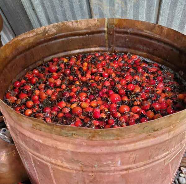 Rosehip Toner - Boreal Folk