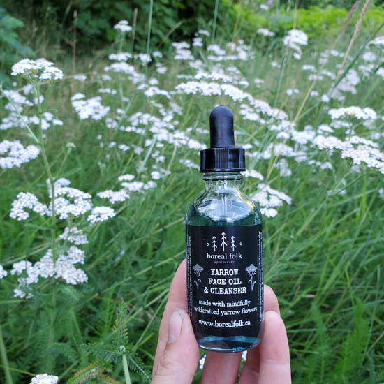 Yarrow Face Oil & Cleanser