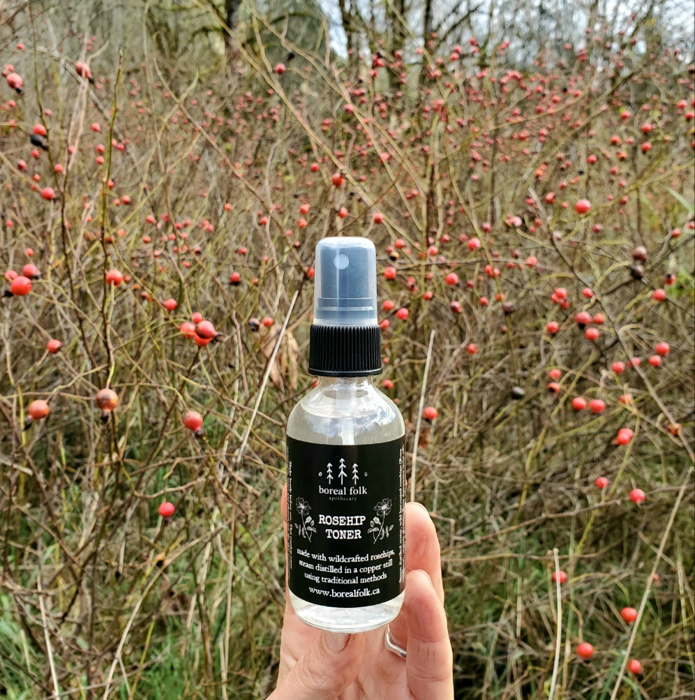 Rosehip Toner