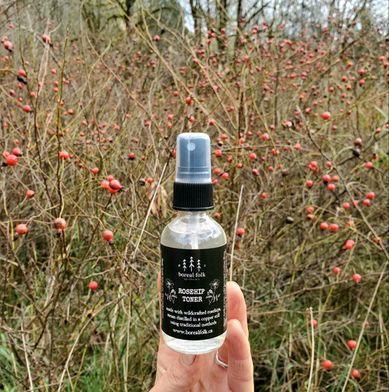 Rosehip Toner