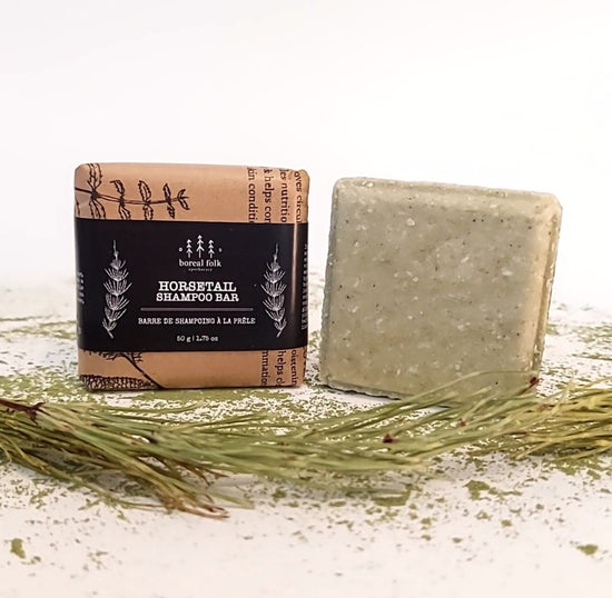 Horsetail shampoo online
